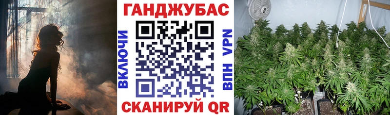 площадка телеграм  Новосиль  Канабис конопля 